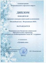 Диплом победителя городского конкурса "Волшебный свет. Петрозаводск-2025" (январь 2025)