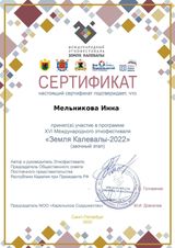 Сертификат участника Этнофестиваля