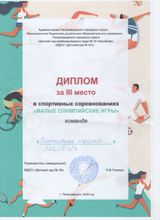 Диплом за 3 место "Малые Олимпийские игры" (21.01.2026)